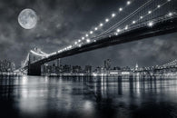 Brooklyn Bridge Wall Mural