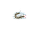 Centipede Wall Decal