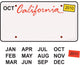 California License Plate Wall Decal