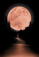 way to red fullmoon Wall Mural