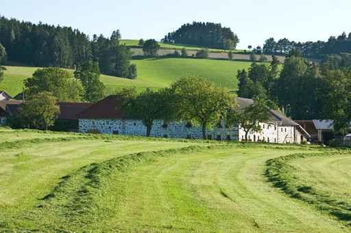 Farm Wall Decal Design 3