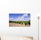 Asparagus Field Summer Wall Decal