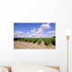 Asparagus Field Summer Wall Decal