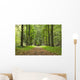 Autumn Park Wall Decal