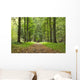 Autumn Park Wall Decal
