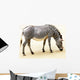 Zebra Wall Mural