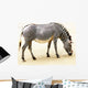 Zebra Wall Mural