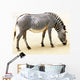Zebra Wall Mural