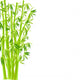 Vector Illustration of Bamboo Wall Decal