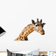 Clipping portrait of a giraffe Camelopardalis Wall Decal