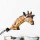 Clipping portrait of a giraffe Camelopardalis Wall Decal