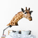 Clipping portrait of a giraffe Camelopardalis Wall Decal