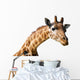 Clipping portrait of a giraffe Camelopardalis Wall Decal