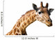 Clipping portrait of a giraffe Camelopardalis Wall Decal