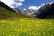 Pitztal Austria Alps Wall Decal