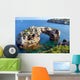 Mallorca Felsentor Es Pontas Wall Decal
