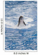 Bottlenose Dolphin Wall Mural
