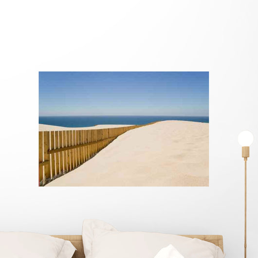 D Ne Wall Decal