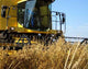 Harvest Machine Wall Decal