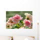 Rose Wall Mural