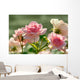 Rose Wall Mural