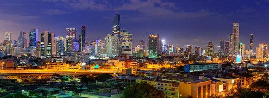 Panorama High City Wall Decal