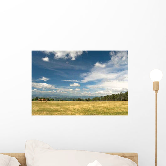 Horses for Freedom Wall Decal