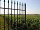 Grille Ouverte Sur Des Wall Decal