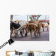 Fort Worth Texas Longhorn Wall Decal