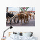 Fort Worth Texas Longhorn Wall Decal