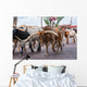 Fort Worth Texas Longhorn Wall Decal