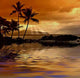 My Sunset Coast Wall Decal