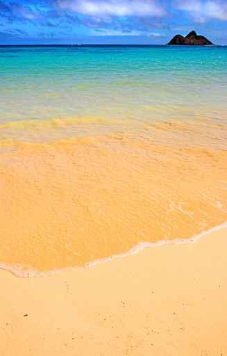 Icon Tropical Beach with Wall Decal