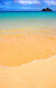 Icon Tropical Beach with Wall Decal