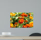 marigolds, Tagetes patula Wall Mural