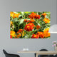 marigolds, Tagetes patula Wall Mural