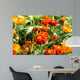 marigolds, Tagetes patula Wall Mural