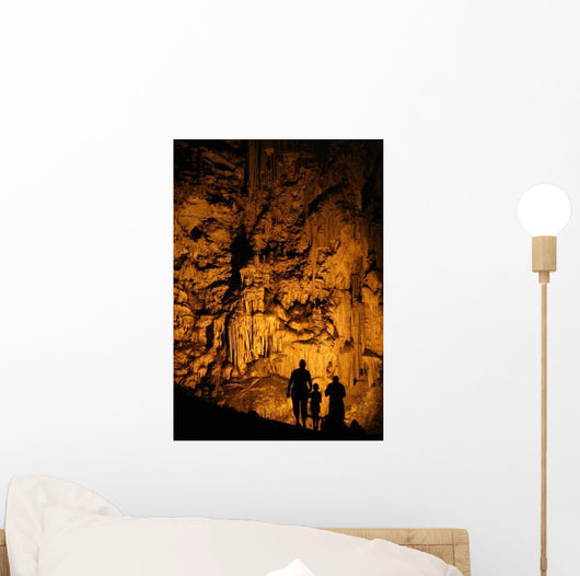 Silhouettes Cave Wall Decal