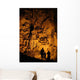 Silhouettes Cave Wall Decal