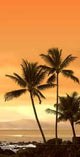 Palm Beach Wall Decal