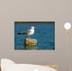 Curious Seagull Wall Mural