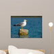 Curious Seagull Wall Mural