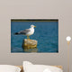 Curious Seagull Wall Mural