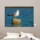 Curious Seagull Wall Mural