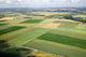 French Fields Wall Decal