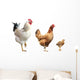 Rooster Hen and Chicken Wall Decal