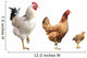 Rooster Hen and Chicken Wall Decal
