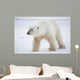 Polar bear Wall Mural