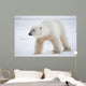 Polar bear Wall Mural