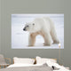 Polar bear Wall Mural
